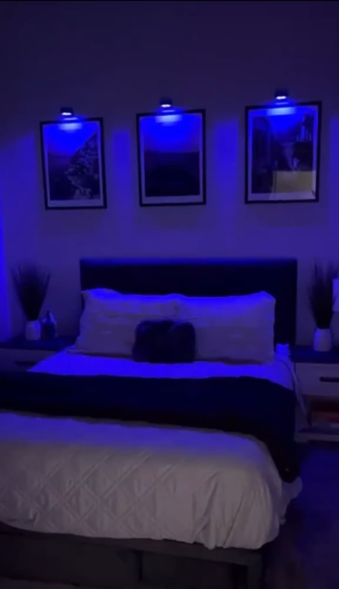 Magnetic LED lights (3szt.)  - Uniwersalne lampki na każdą okazję